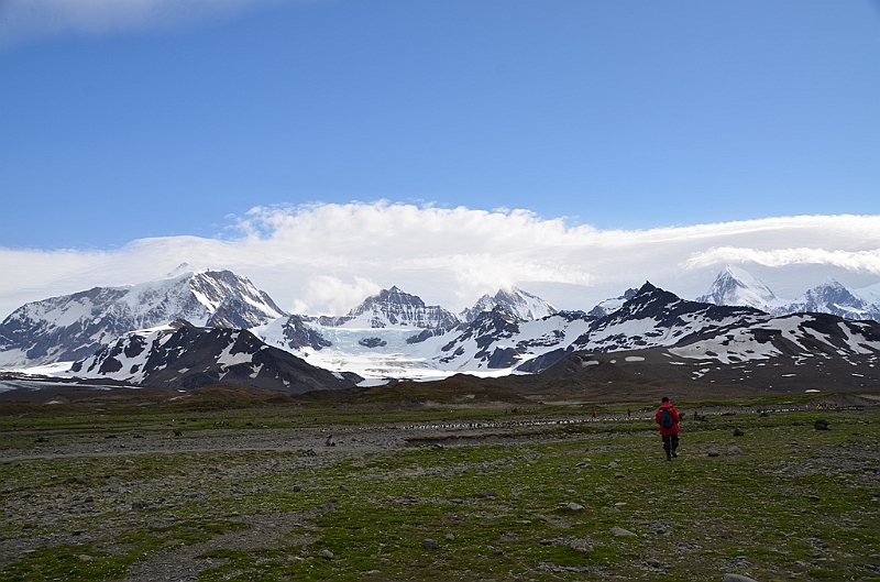 204_Antarctica_South_Georgia_Saint_Andrews_Bay.JPG