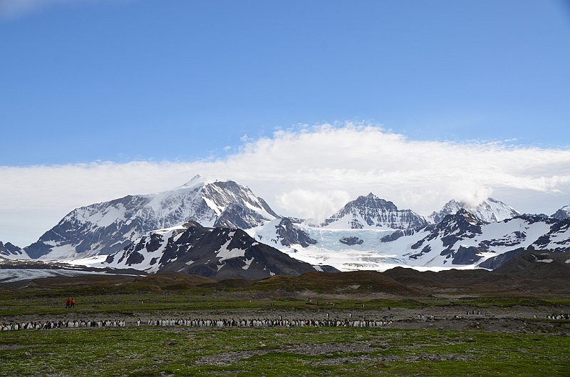 206_Antarctica_South_Georgia_Saint_Andrews_Bay.JPG