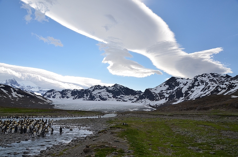 212_Antarctica_South_Georgia_Saint_Andrews_Bay.JPG