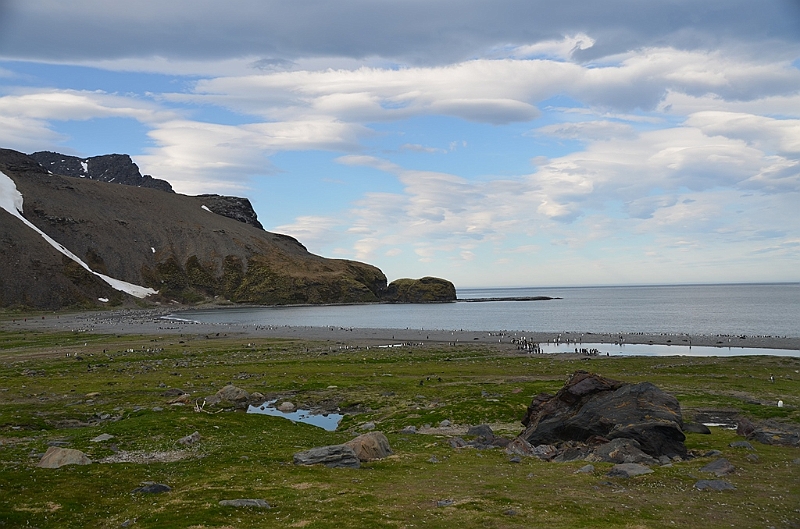 226_Antarctica_South_Georgia_Saint_Andrews_Bay.JPG