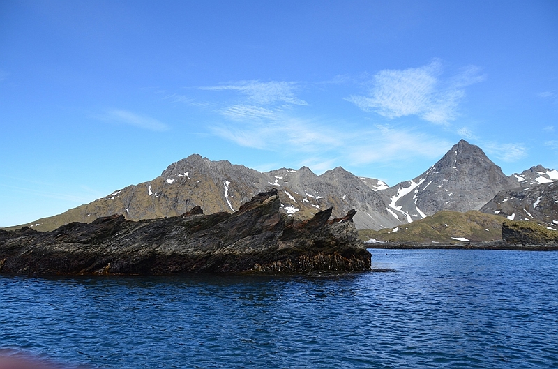 273_Antarctica_South_Georgia_Cooper_Bay.JPG