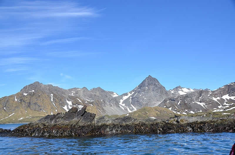 293_Antarctica_South_Georgia_Cooper_Bay.JPG