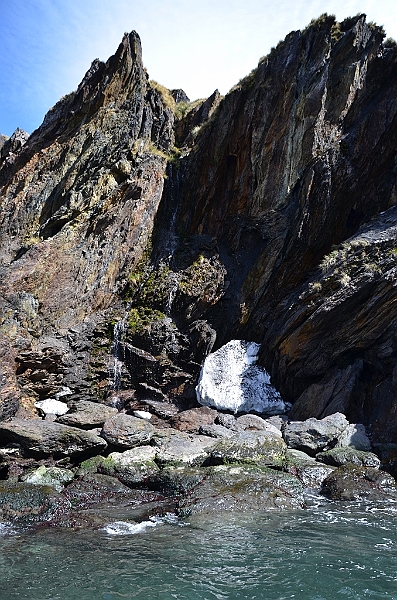 306_Antarctica_South_Georgia_Cooper_Bay.JPG