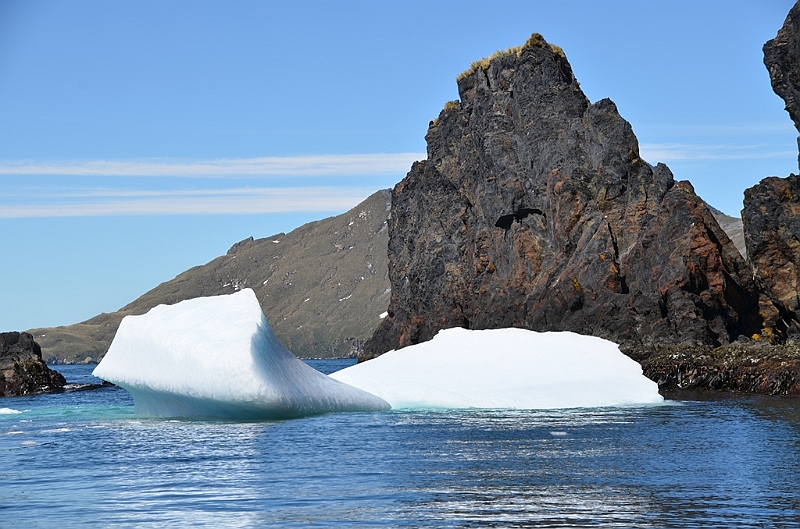 317_Antarctica_South_Georgia_Cooper_Bay.JPG