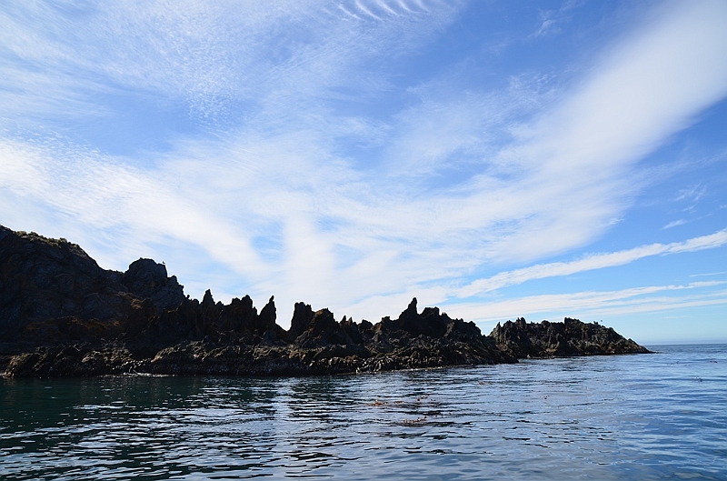 321_Antarctica_South_Georgia_Cooper_Bay.JPG