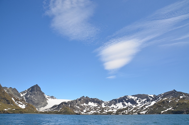 337_Antarctica_South_Georgia_Cooper_Bay.JPG