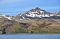 037_Antarctica_South_Georgia_Fortuna_Bay