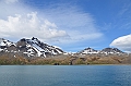 045_Antarctica_South_Georgia_Fortuna_Bay