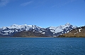 168_Antarctica_South_Georgia