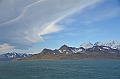 175_Antarctica_South_Georgia