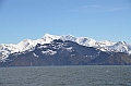 183_Antarctica_South_Georgia