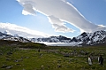 221_Antarctica_South_Georgia_Saint_Andrews_Bay