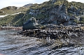 277_Antarctica_South_Georgia_Cooper_Bay