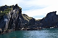 309_Antarctica_South_Georgia_Cooper_Bay