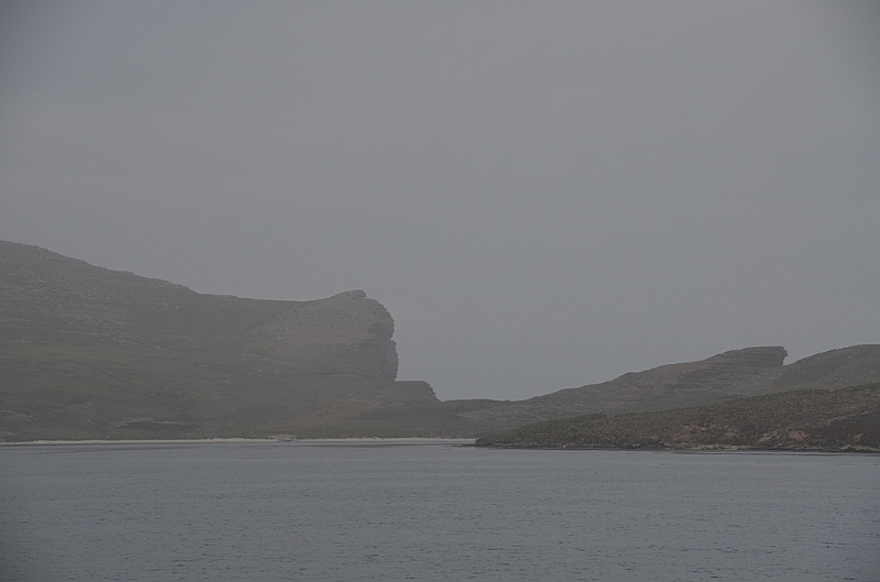 047_Falkland_Islands_New_Island.JPG