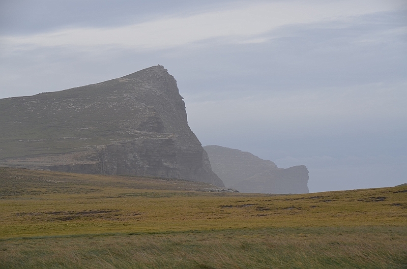 053_Falkland_Islands_New_Island.JPG