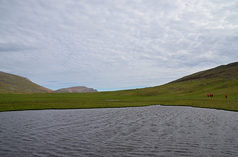128_Falkland_Islands_Grave_Cove.JPG