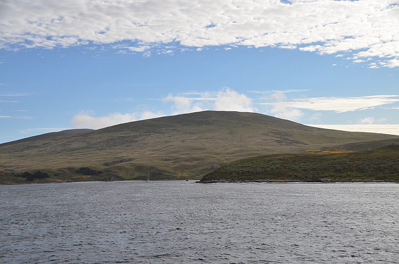 150_Falkland_Islands_Grave_Cove.JPG
