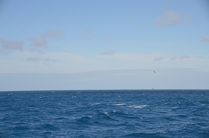 163_Falkland_Islands.JPG