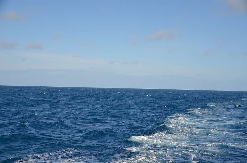 166_Falkland_Islands.JPG