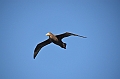 164_Falkland_Islands
