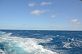 169_Falkland_Islands