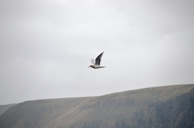 018_USA_Alaska_St_Georges_Island.JPG