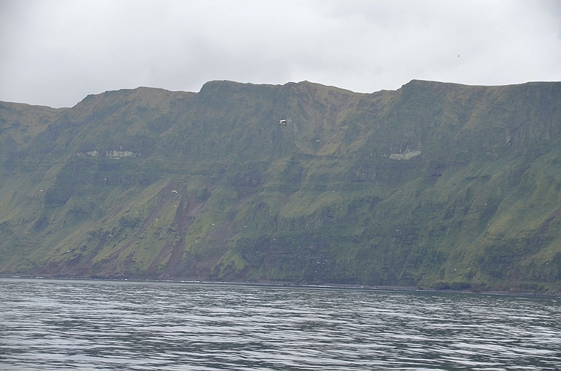 031_USA_Alaska_St_Georges_Island.JPG
