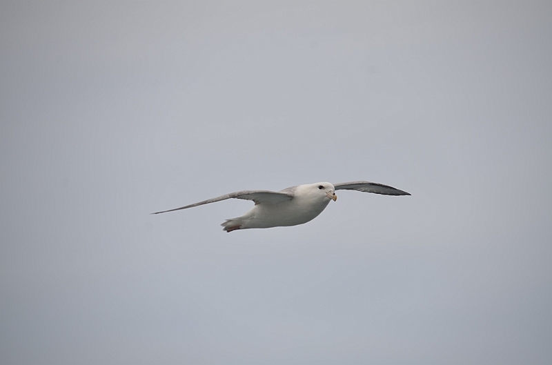 033_USA_Alaska_St_Georges_Island.JPG