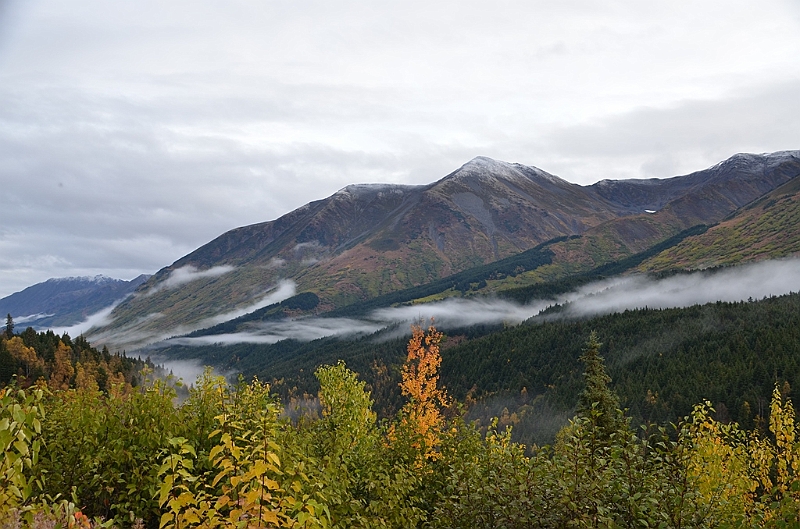 229_USA_Alaska.JPG