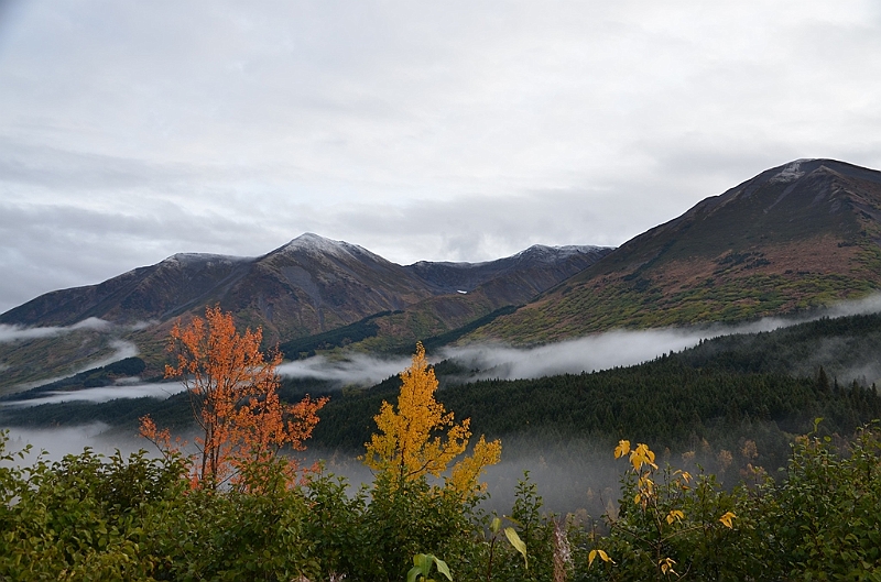 233_USA_Alaska.JPG
