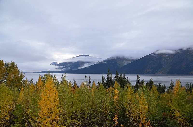 237_USA_Alaska.JPG