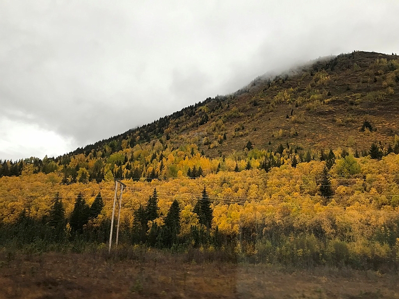 243_USA_Alaska.jpg