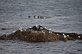 083_USA_Alaska_Dutch_Harbor