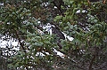 149_USA_Alaska_Unga_Island