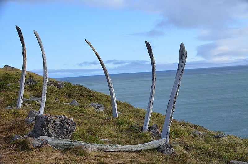 084_Arctic_Russia_Cape_Dezhnev.JPG