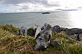 082_Arctic_Russia_Cape_Dezhnev