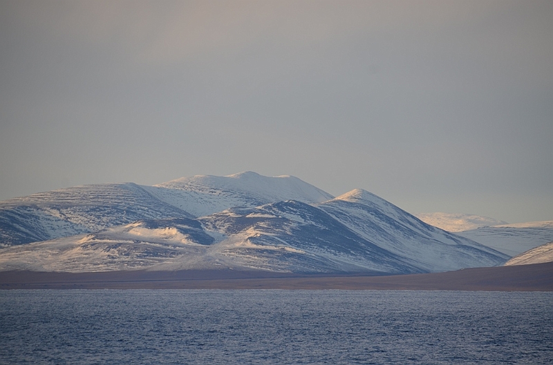 006_Russia_Wrangel_Island.JPG
