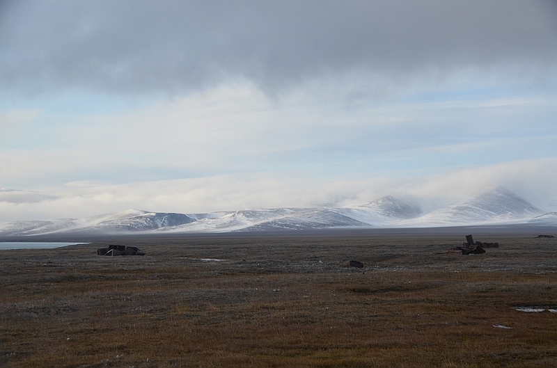 168_Russia_Wrangel_Island_Krasina_Bay.JPG