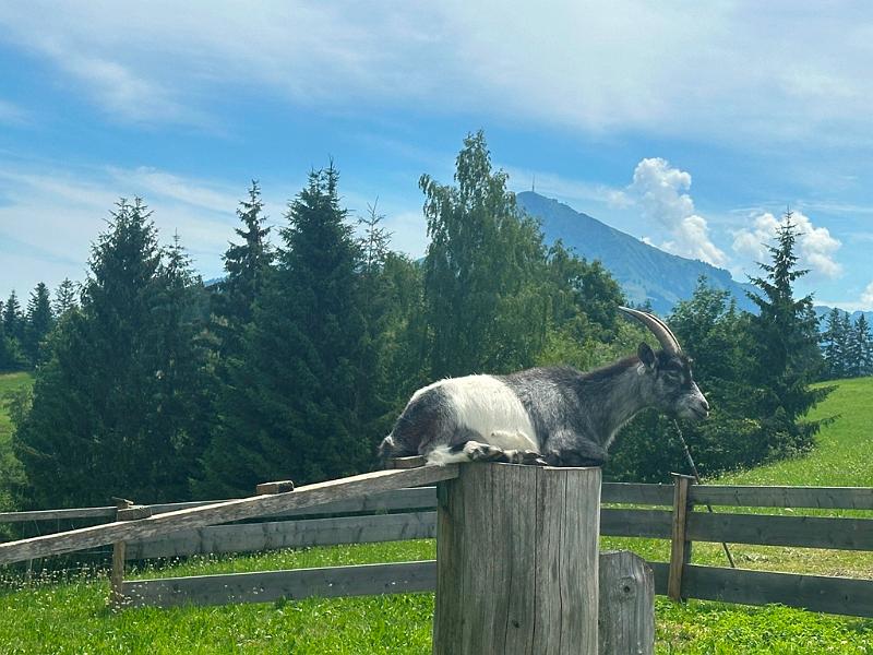 062_Austria_Wilder_Kaiser.JPG