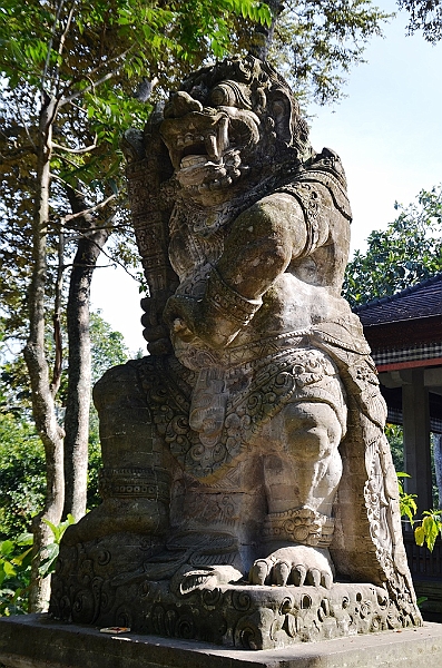 185_Bali_Ubud_Monkey_Forest.JPG