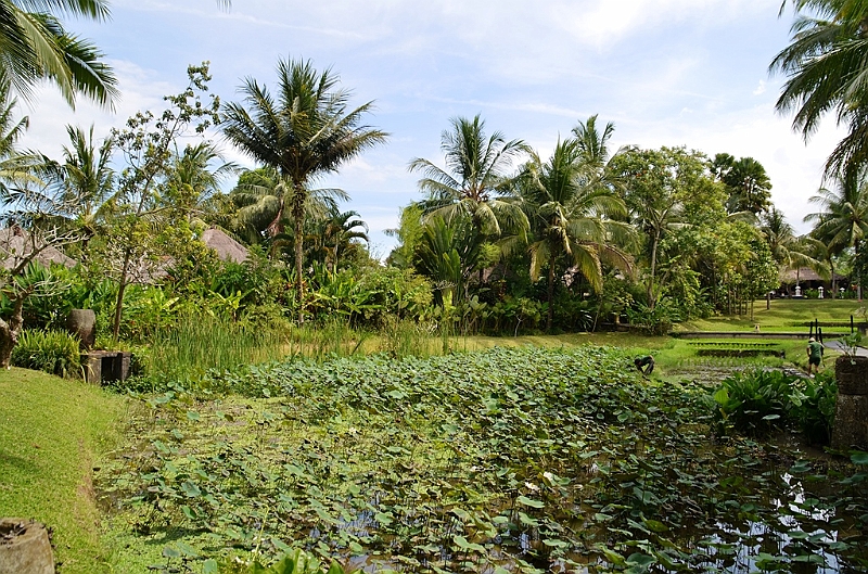 243_Bali_The_Ubud_Village_Resort.JPG