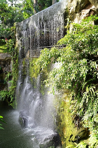461_Kuala_Lumpur_Bird_Park.JPG
