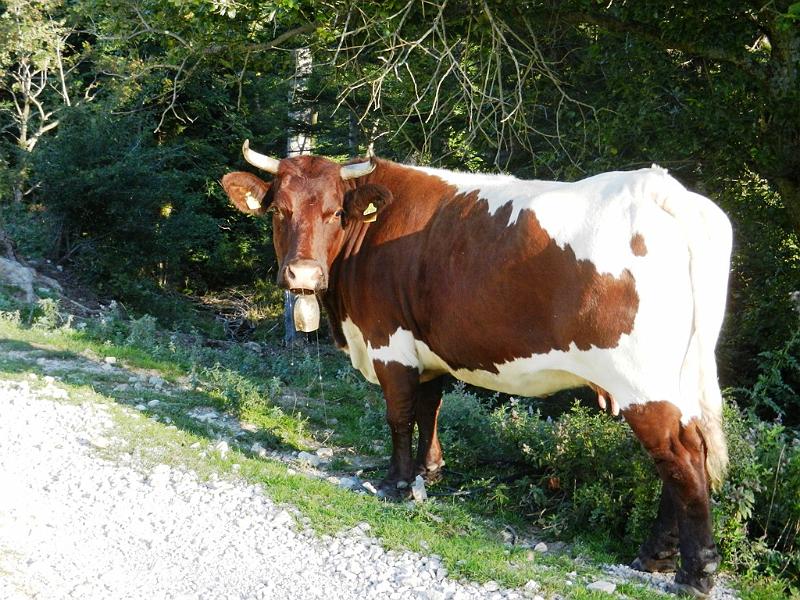 2013_02_Hochstaufen_Photo_08.JPG - 