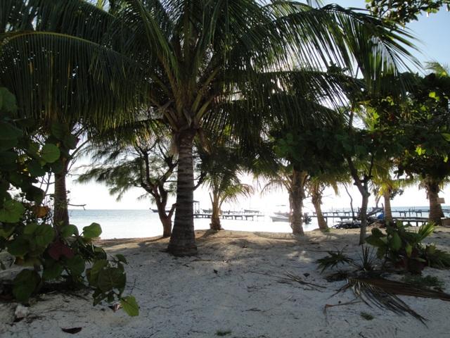 354_Belize_Caye_Caulker.JPG