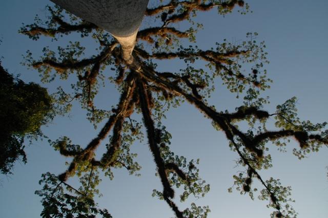 251_Guatemala_Tikal.JPG