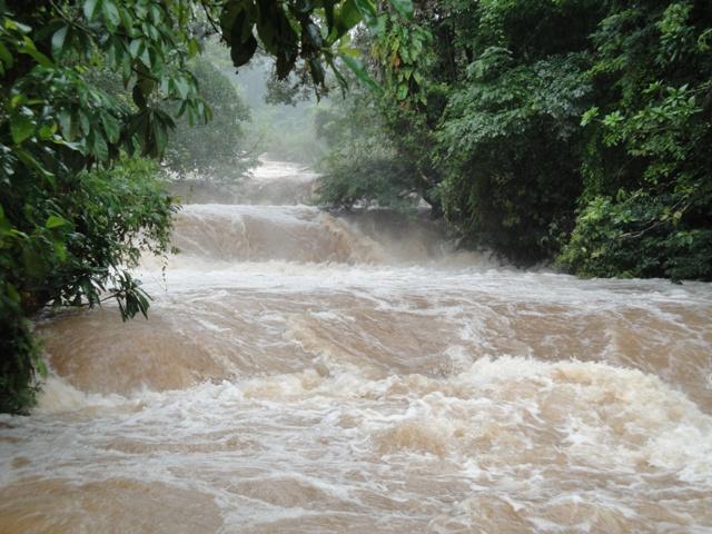 124_Mexico_Agua_Azul.JPG