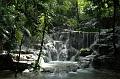 110_Mexico_Palenque_Jungle
