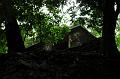 87_Mexico_Palenque