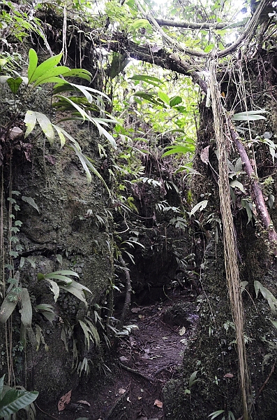 241_Ecuador_Amazonas_Aera.JPG